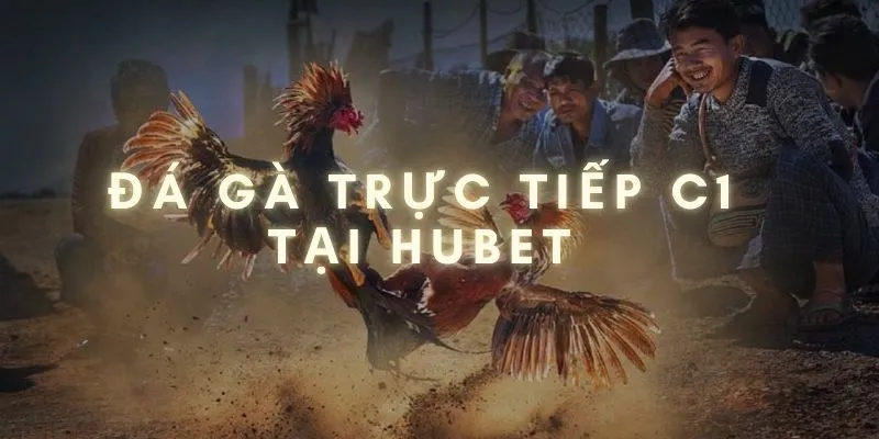 đá gà trực tiếp c1