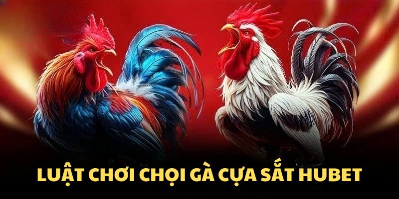 Luật chơi chọi gà cựa sắt Hubet